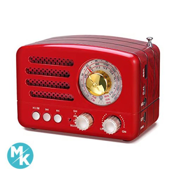 رادیو PRUNUS J-160 AM FM بلوتوث قابل شارژ آمازون آلمان